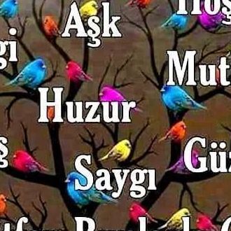 Varsayılan Albüm