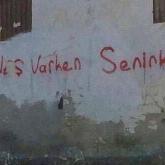 Kapak Görüntüleri