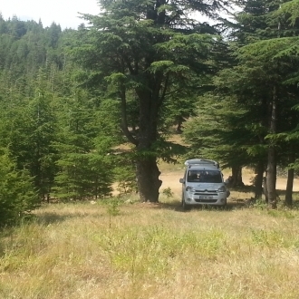 Varsayılan fotoğraf albüm adı